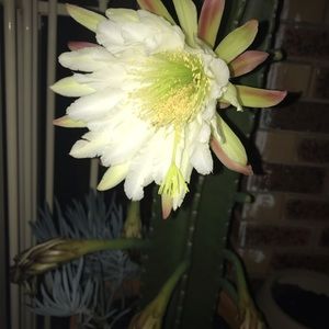 Meet your Posher, Leslie